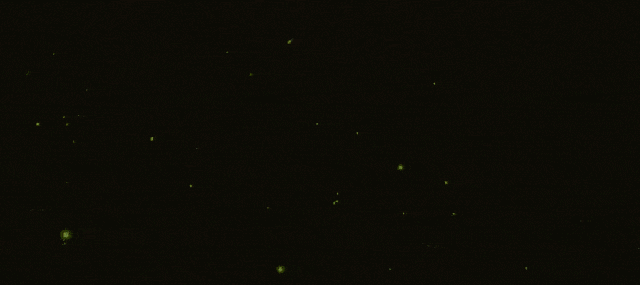 1594957534392209.gif 微信图片_20200717114430.gif