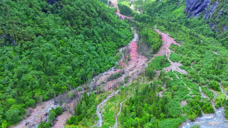 1720075833507775.jpg DJI_20240703113437_0756_D.JPG