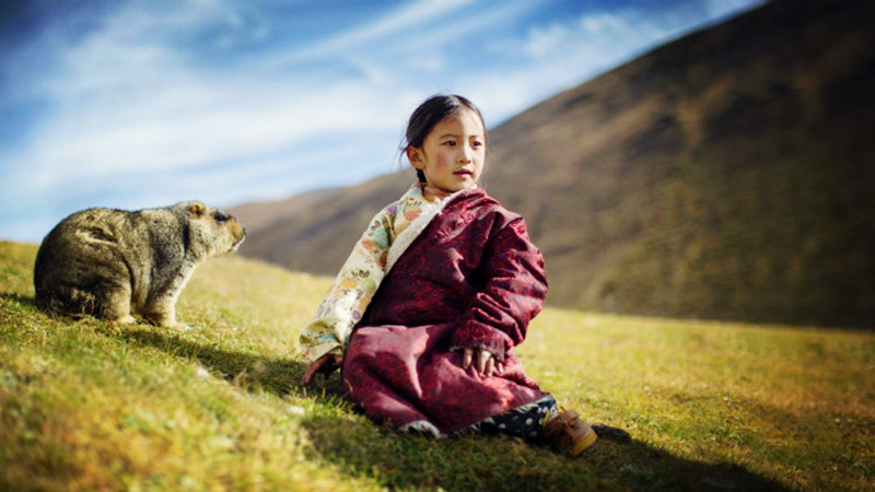 1554188419173691.jpg 10.jpg