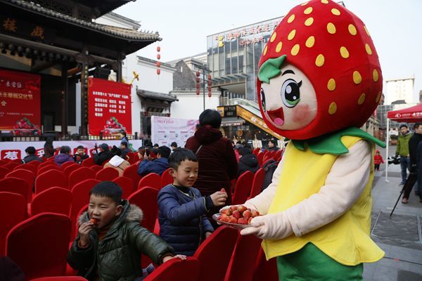 的草莓园 在我们"草莓跑"活动的现场 作为2019年中国长丰草莓文化节的