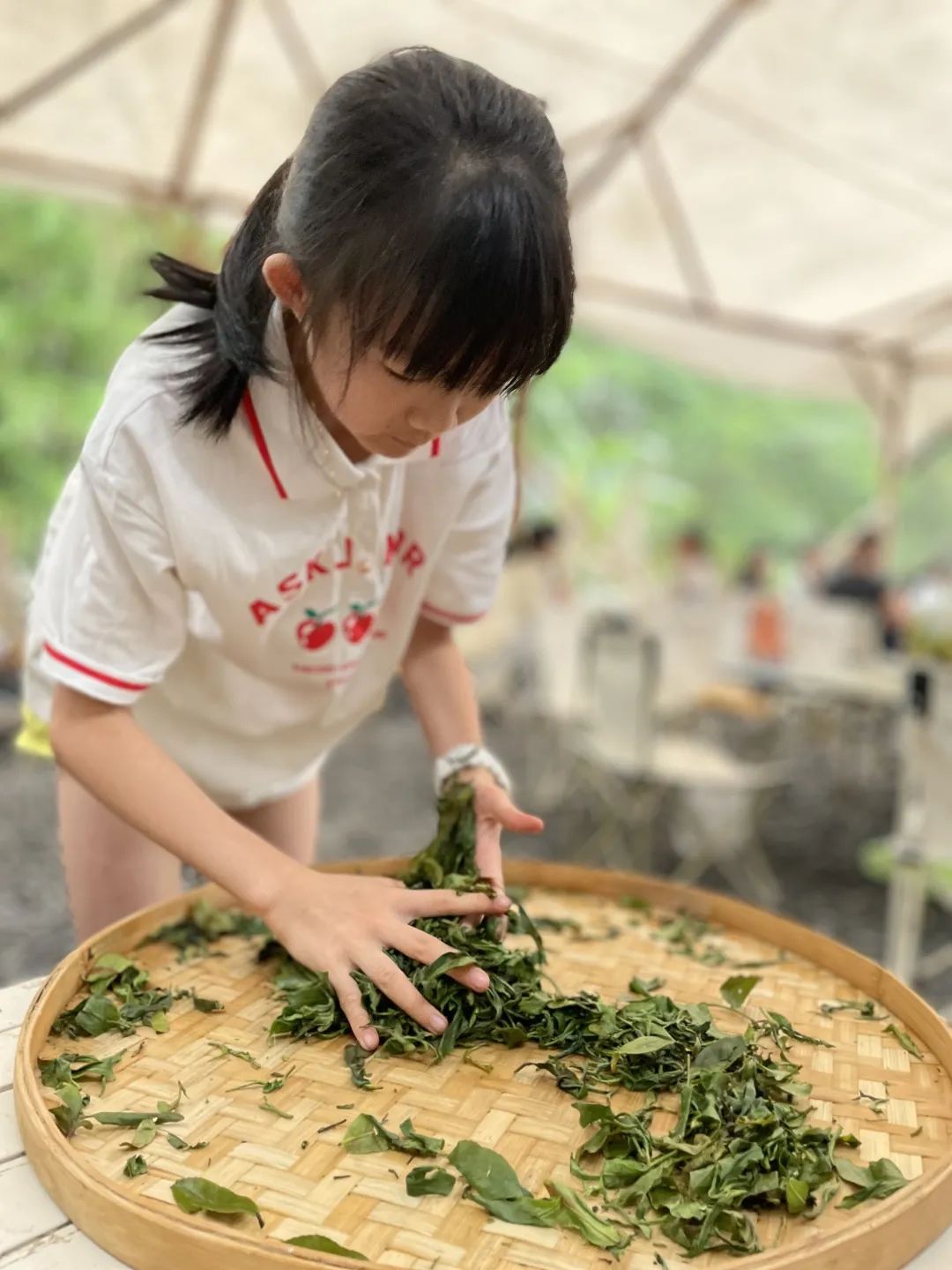 微信图片_20250227160505.jpg