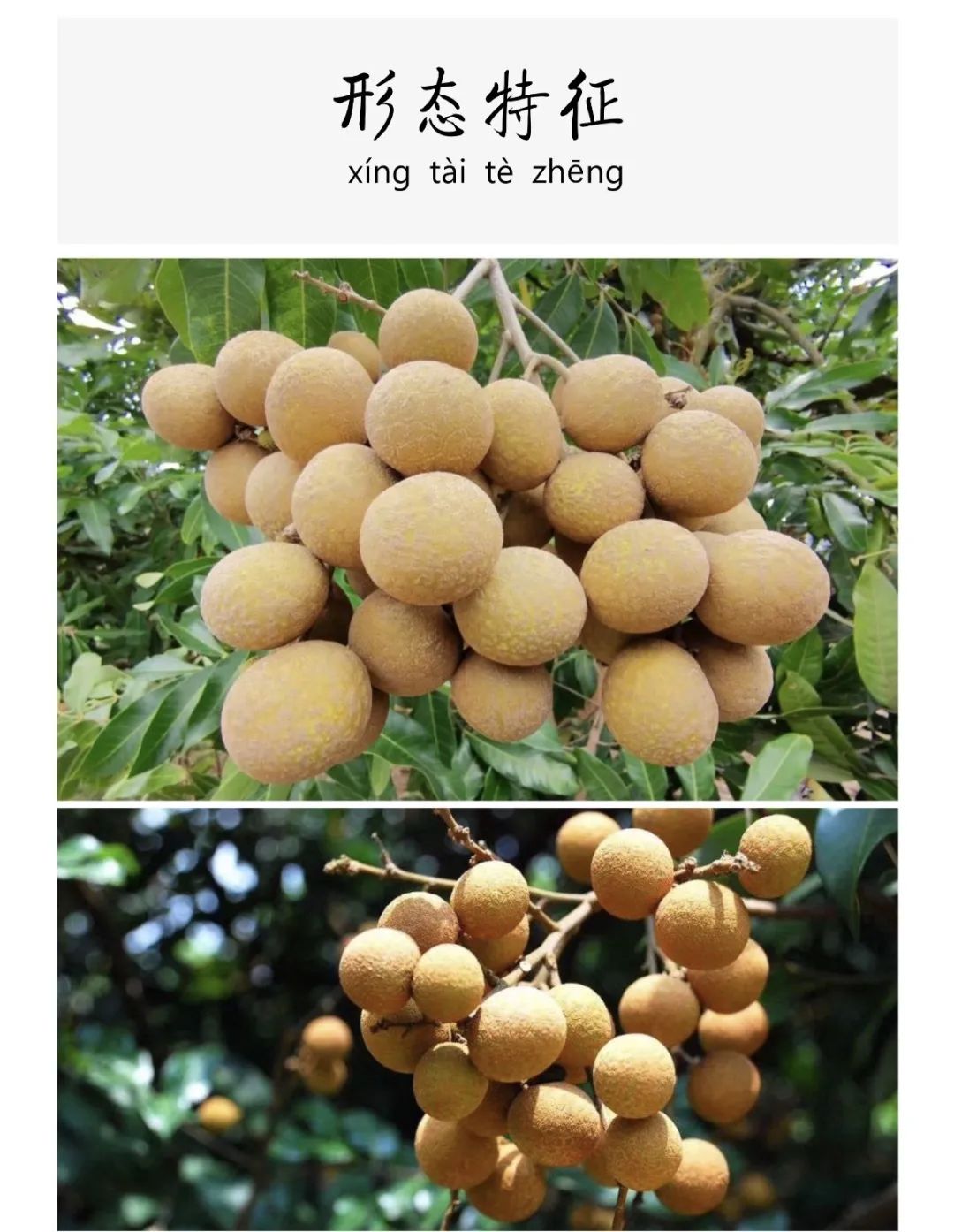 微信图片_20250801172133.jpg