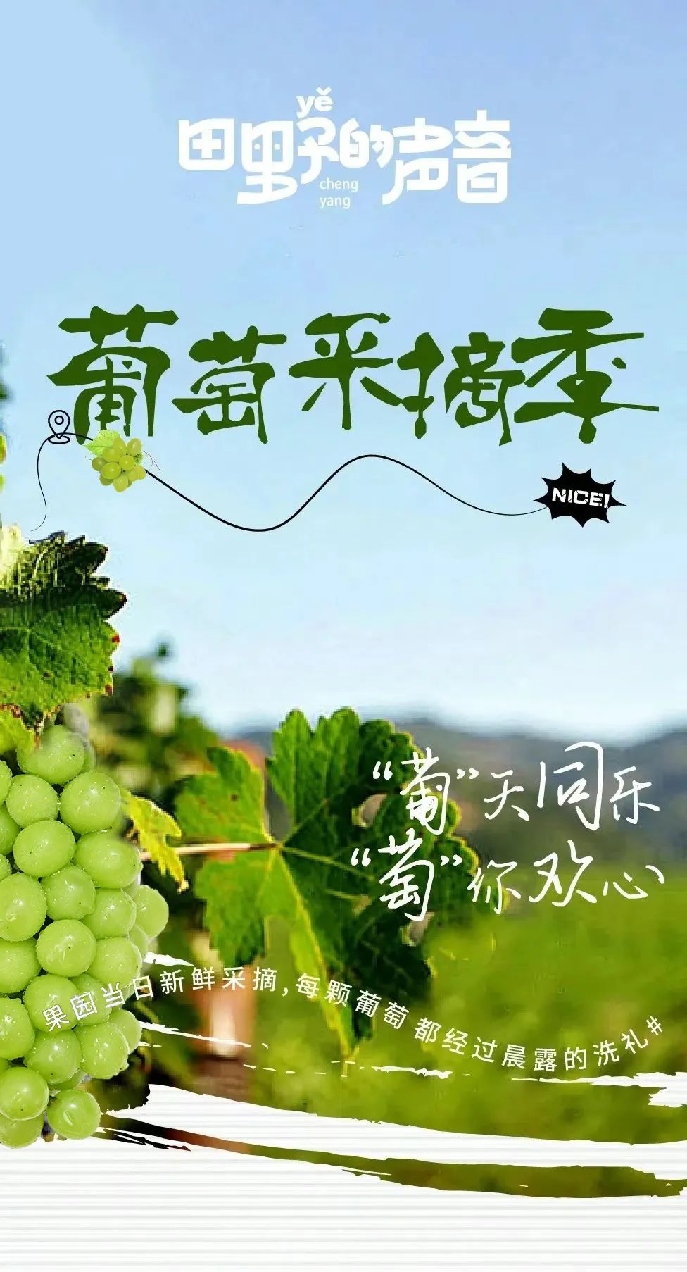 微信图片_20250620105021.jpg
