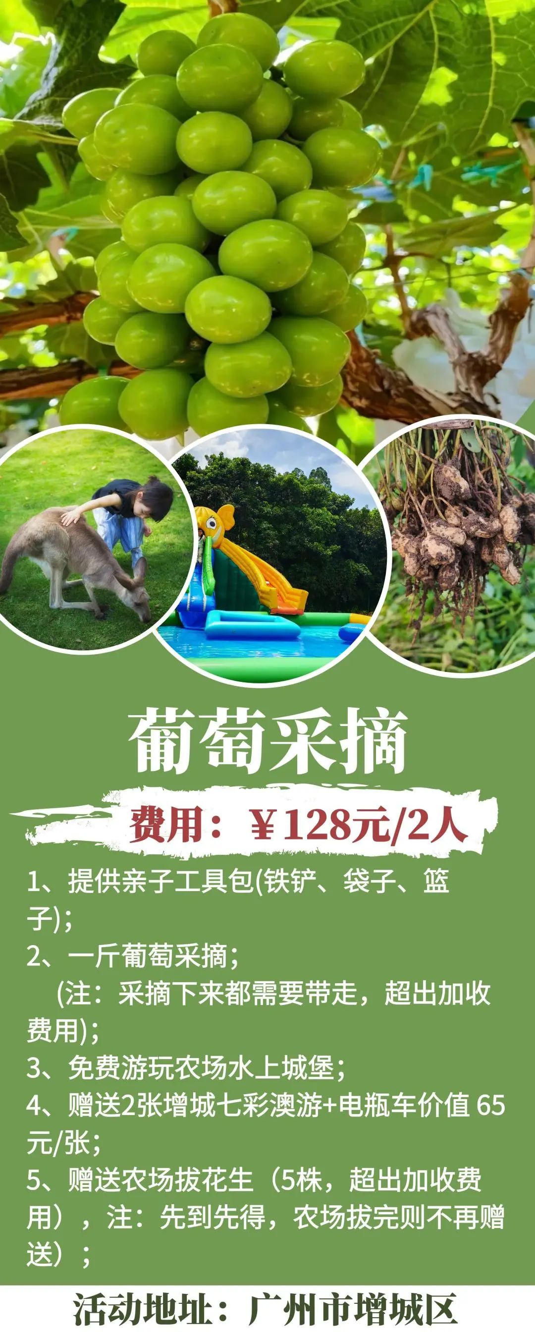 图怪兽_葡萄采摘 (1).jpg