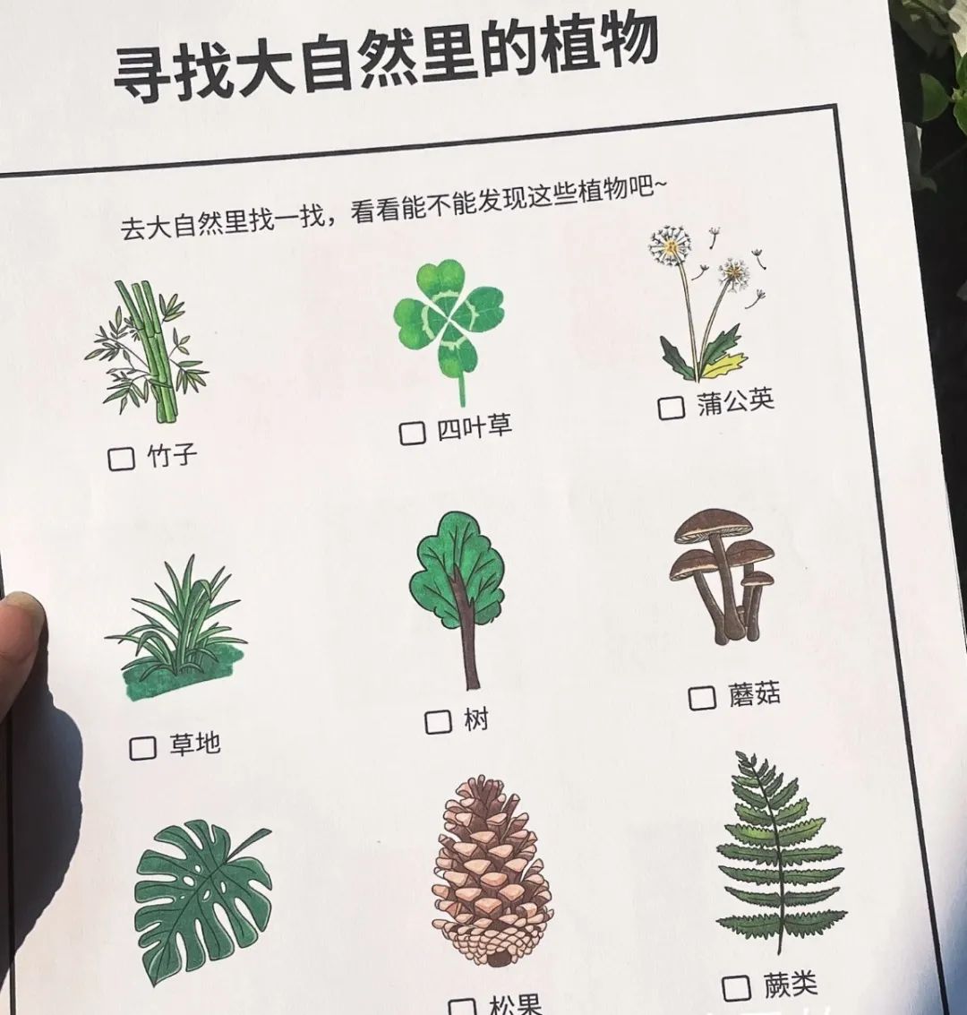 微信图片_20250801223421.jpg
