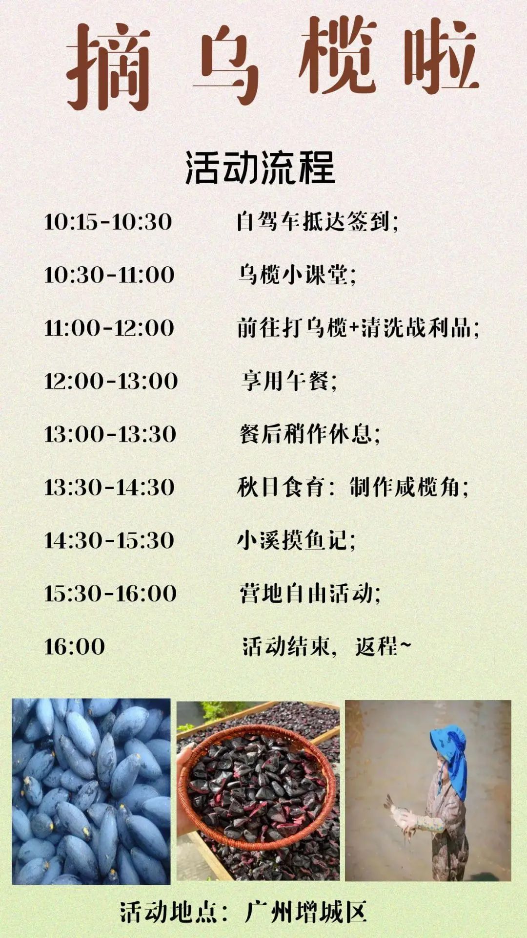 图怪兽_摘乌榄 (4).jpg