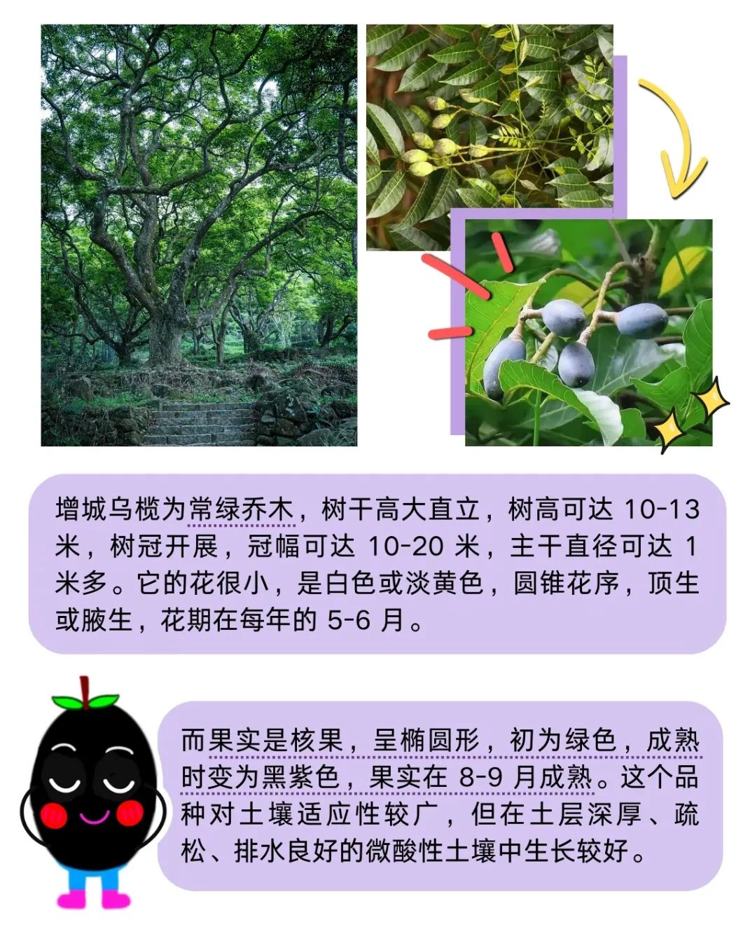 微信图片_20250826095142.jpg