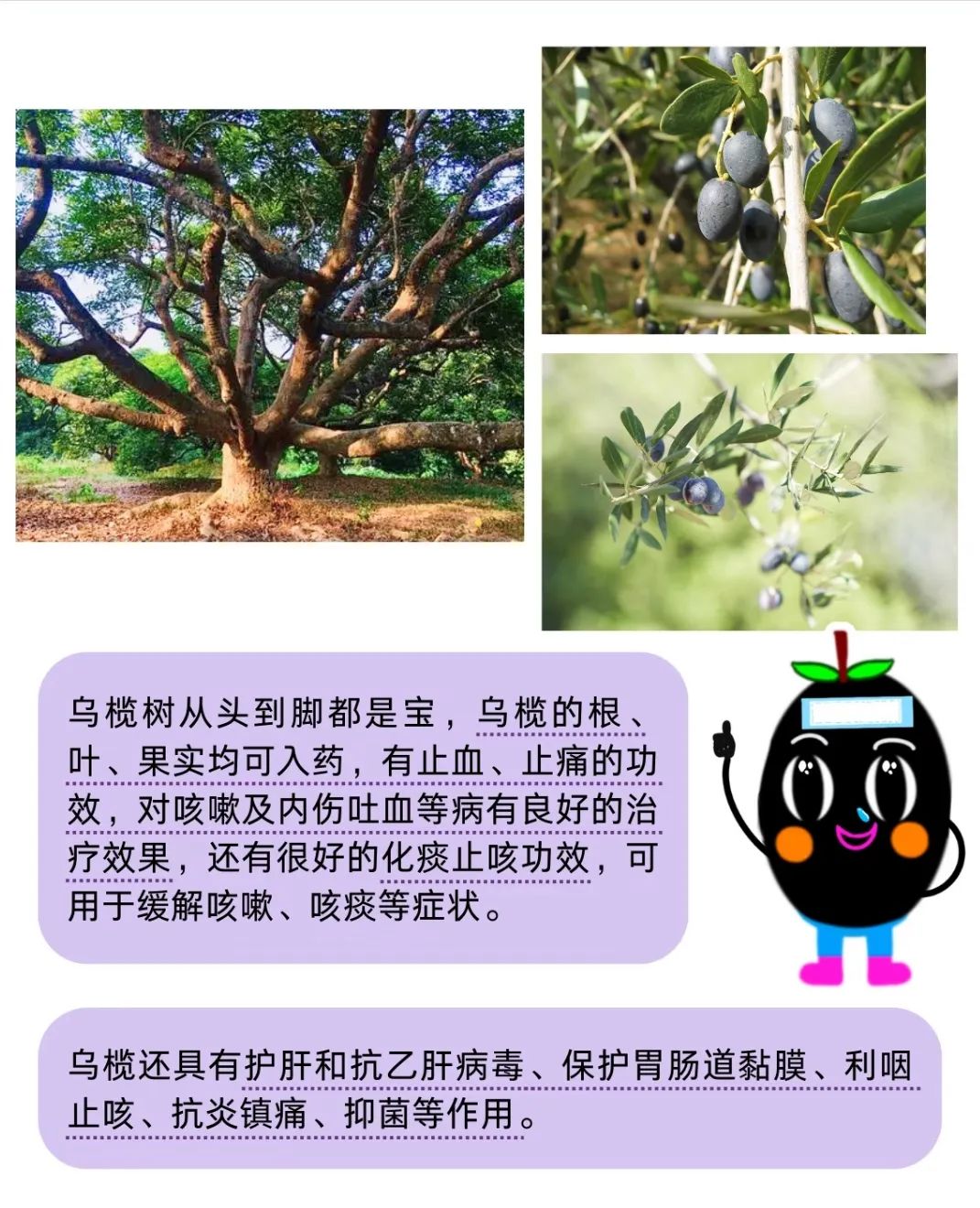 微信图片_20250826095146.jpg