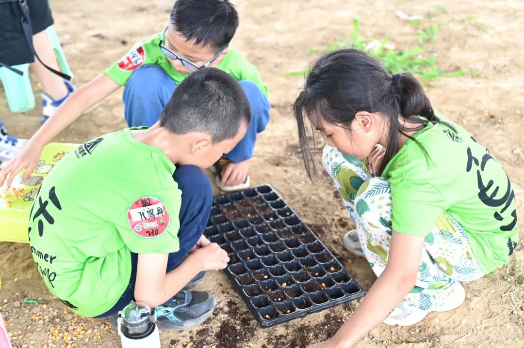 23第三期育种4.jpg