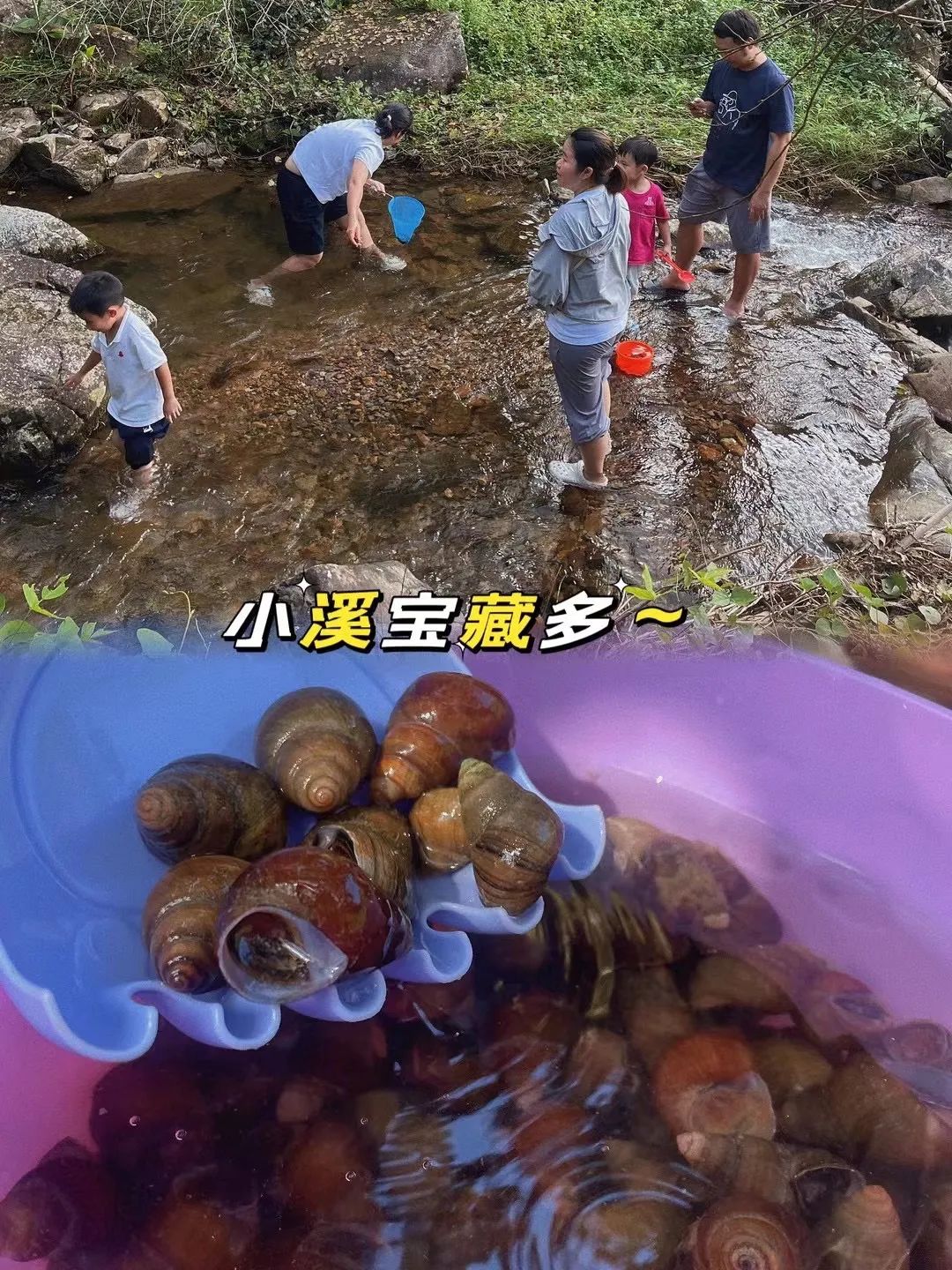 微信图片_20240807141411.jpg