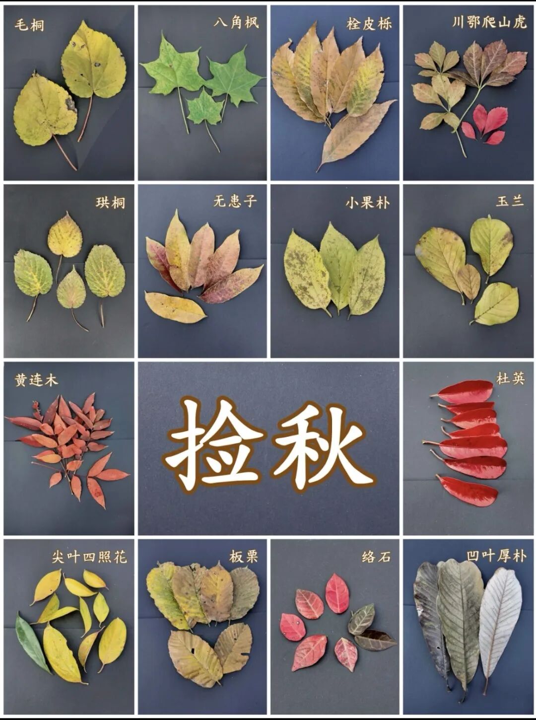 微信图片_20251011154032_164_12.jpg