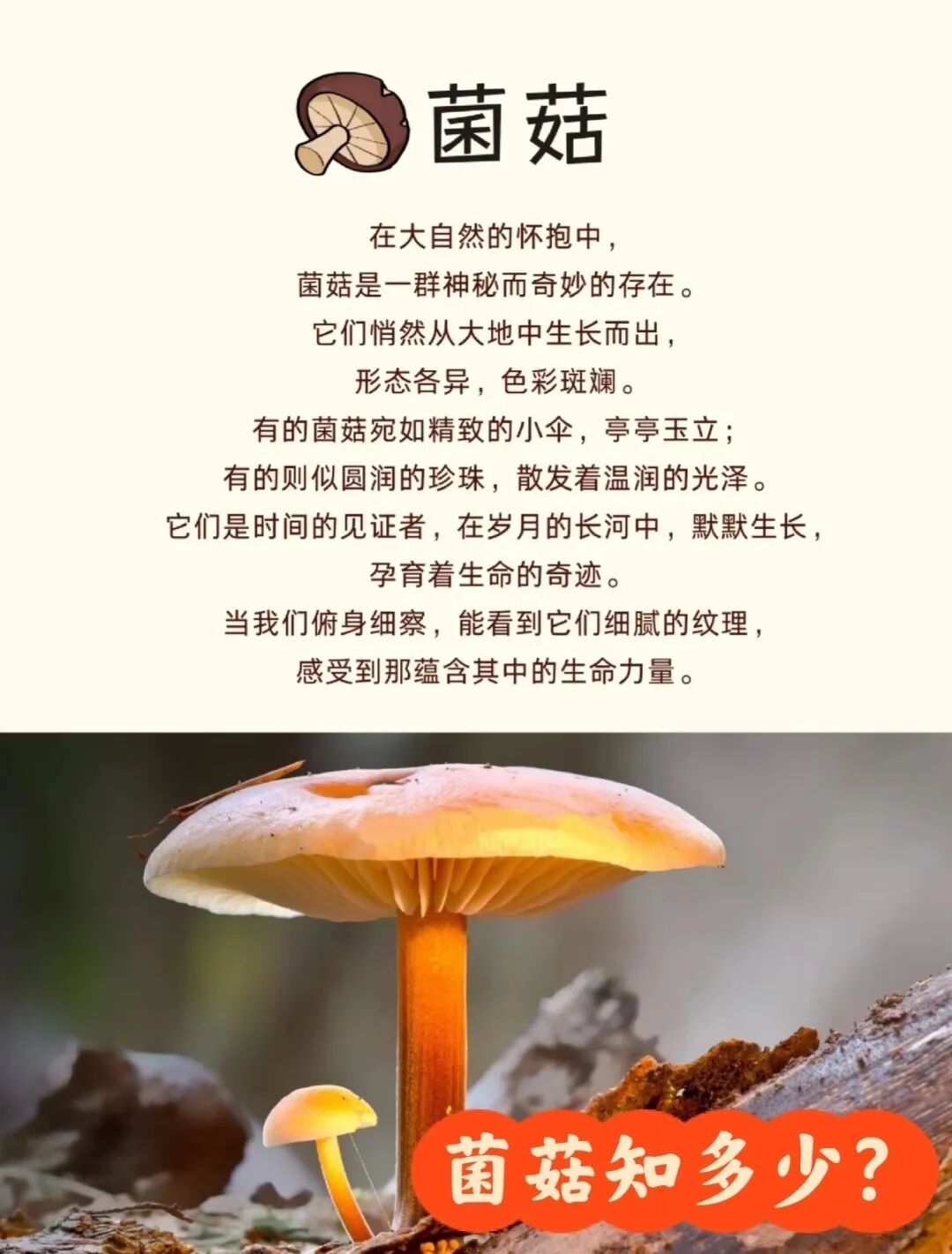 微信图片_20251216163803_560_12.jpg