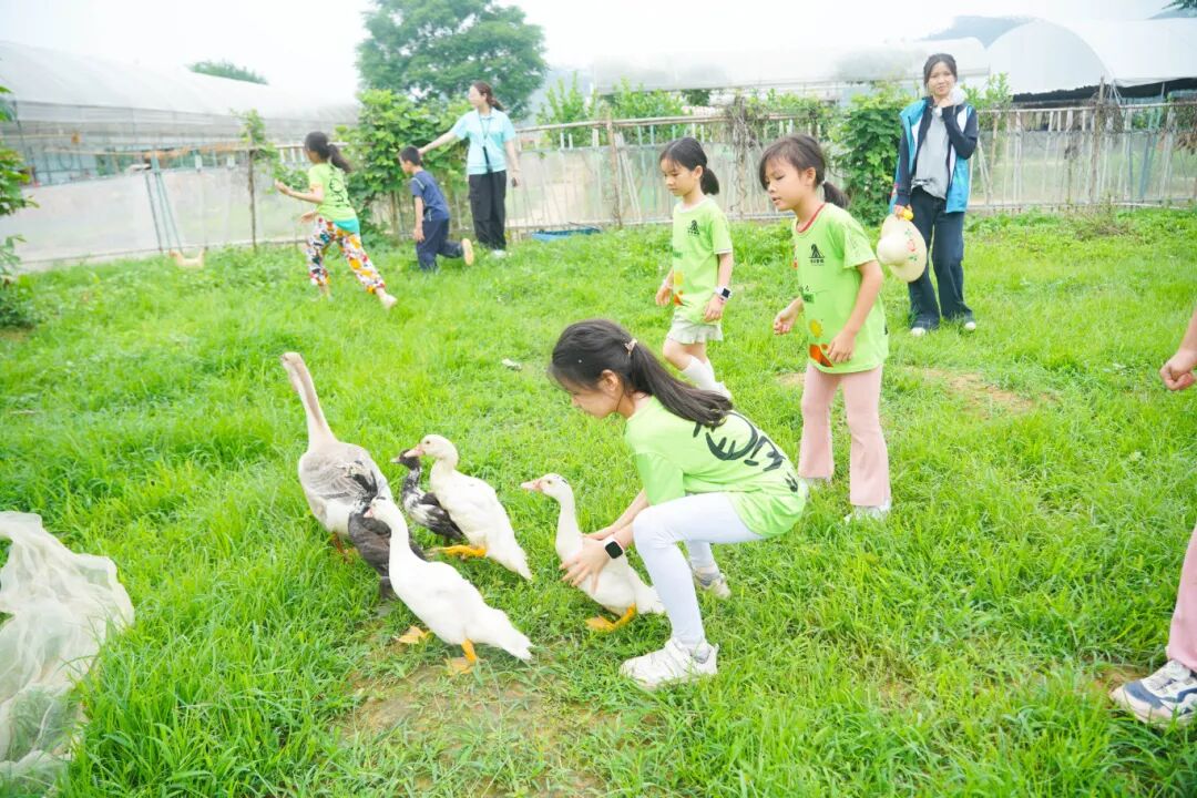 DSC03185.jpg