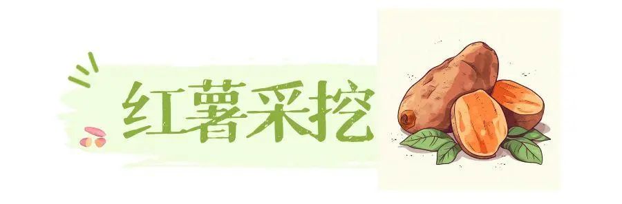 图怪兽_红薯.jpg