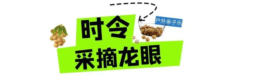 图怪兽_未命名 (6).jpg