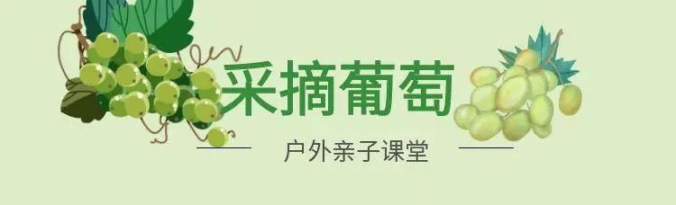 图怪兽_采摘.jpg