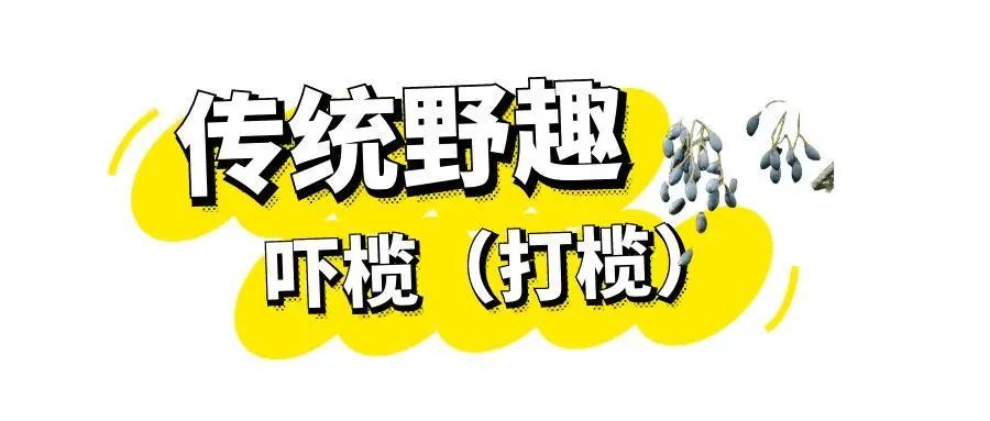 图怪兽_乌榄 (1).jpg