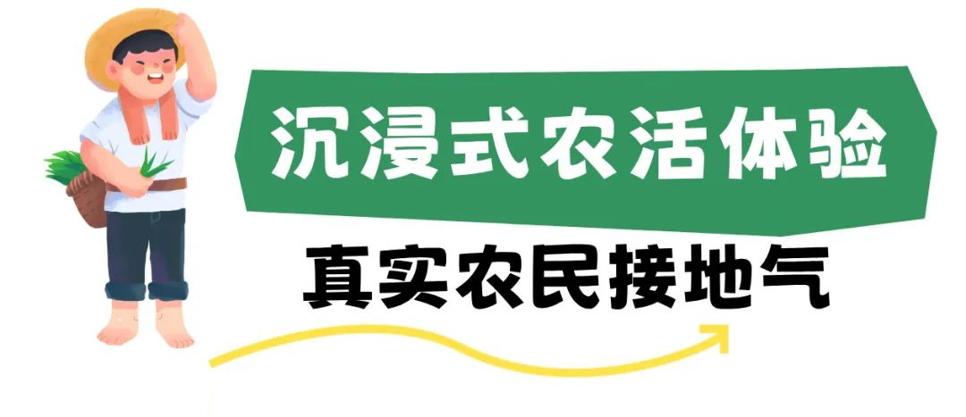 副本_简约风旅游出行促销海报__2025-03-26+17_23_21.jpg