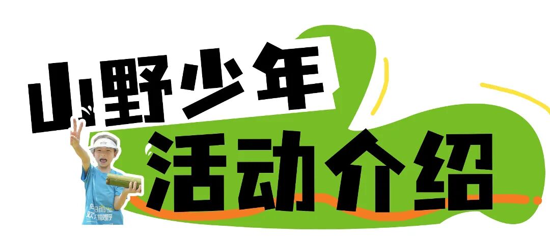 旅游出行景点景区茶园路线宣传全屏海报 (9).jpg