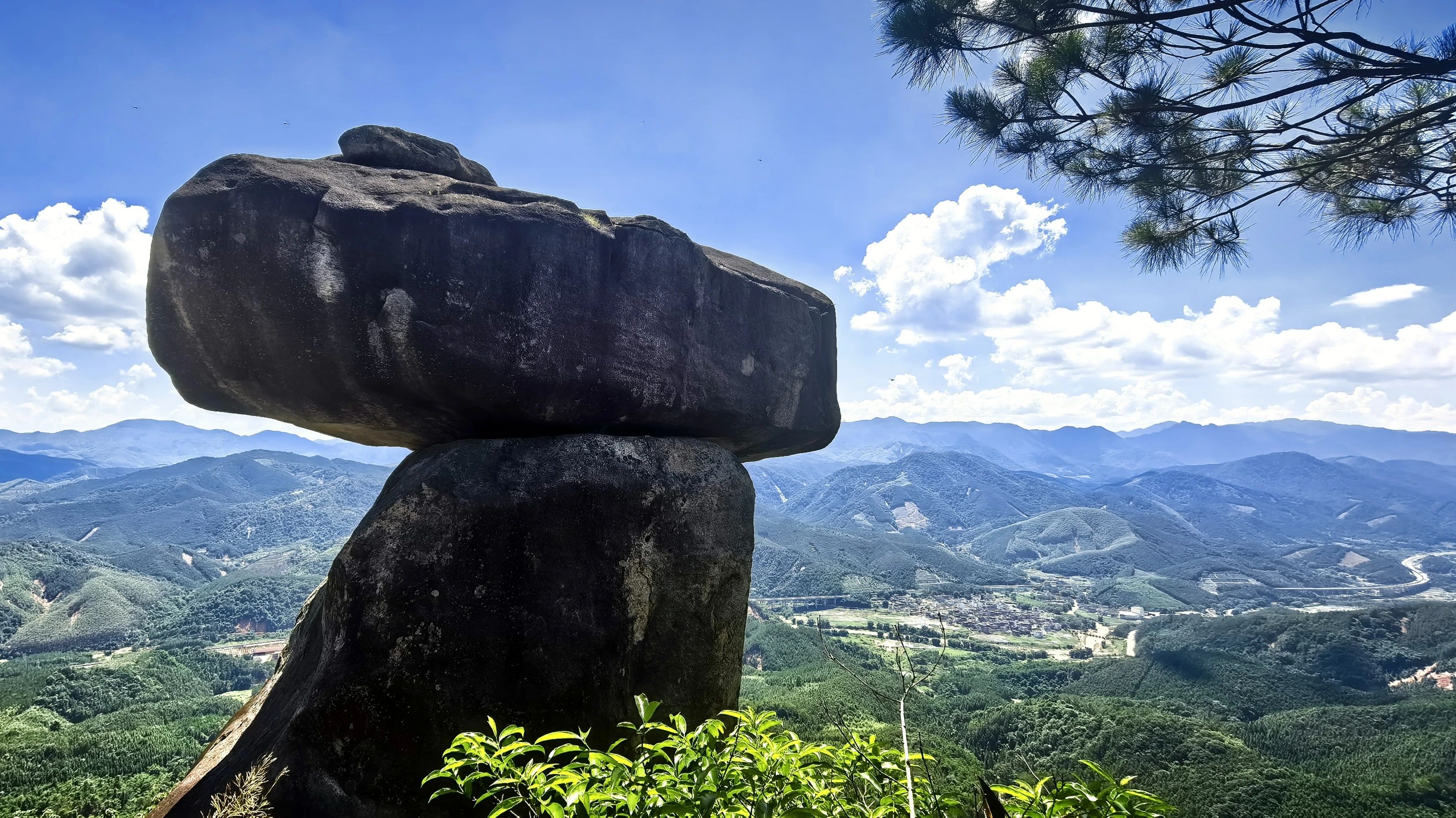 文章配图