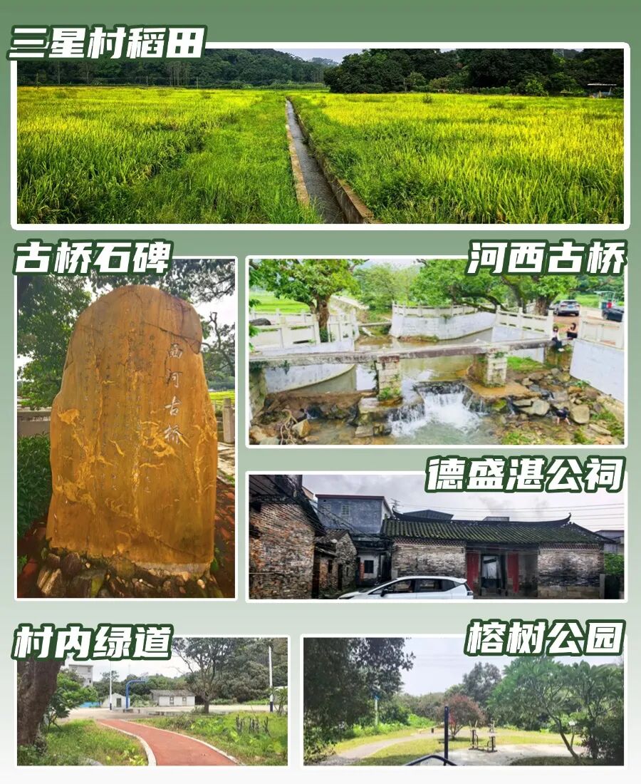 线路图打卡点组图.jpg
