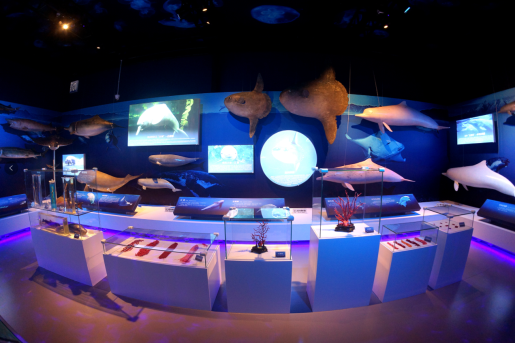 9元起,6000多海洋生物,俄罗斯美人鱼表演等.