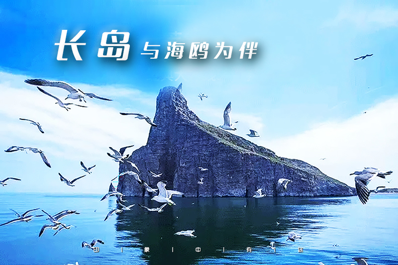 ▌ 印象分类-主图横.jpg