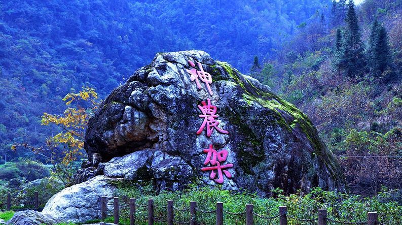 【国庆6日61神农架】"免门票游湖北"探寻野人踪迹-神农架-武当山