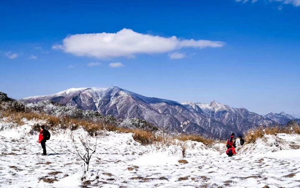 初冬赏雪高山草甸秦岭深处的雪原