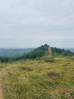 12月27日（周六）金堂老牛坡大环线徒步（可亲子）