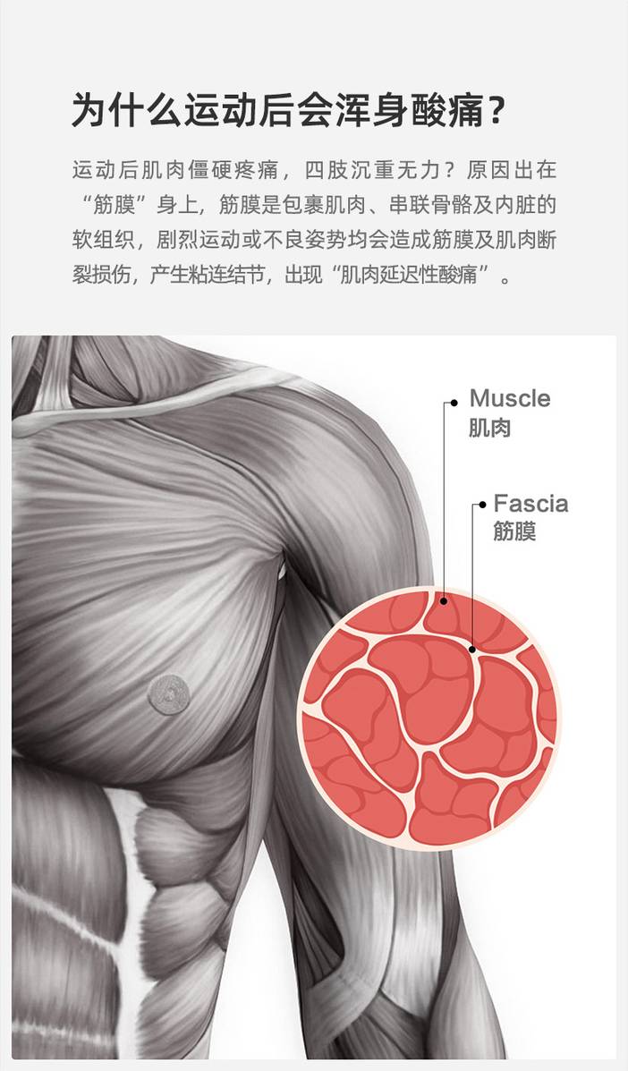 ipermove 肌筋膜放松仪(筋膜贴智享系列)