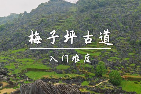 11.1周日，转发85起买一送一不限名额 【梅子坪古道】梅子坪古道｜阳山沙磅穿英德大湾梅子坪