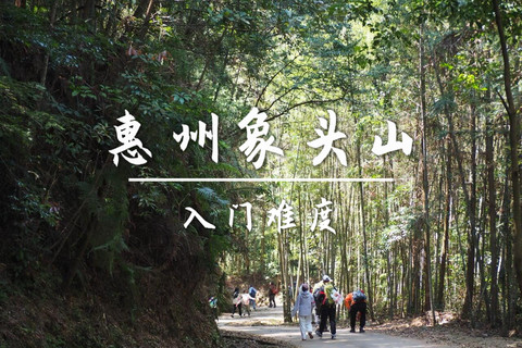 11.1周日 转发后65元起 买一送一名额不限【探秘象头山腹地】惠州象头山百年古道12公里森林徒步