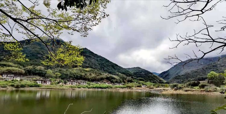 樓)半山春水一人家綠枝青果遲梅花跟著野生去戶外呆在家裡憋得慌遇見