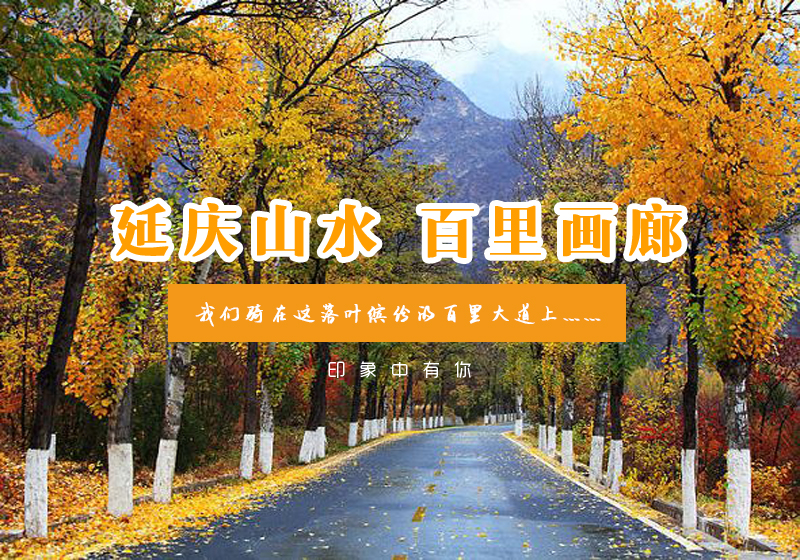 1头.jpg