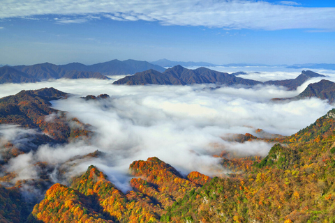 10.25～11.1 / 10.31～11.7【秦岭川陕秘境赏秋】7处地貌 、6种秋色 ，这条线，把北纬32°的秋天全打包 ！！
