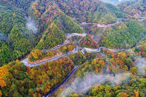 10.25～11.1 / 10.31～11.7【秦岭川陕秘境赏秋】7处地貌 、6种秋色 ，这条线，把北纬32°的秋天全打包 ！！