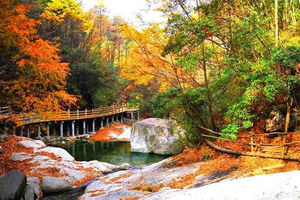 10.25～11.1 / 10.31～11.7【秦岭川陕秘境赏秋】7处地貌 、6种秋色 ，这条线，把北纬32°的秋天全打包 ！！