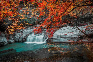 10.25～11.1 / 10.31～11.7【秦岭川陕秘境赏秋】7处地貌 、6种秋色 ，这条线，把北纬32°的秋天全打包 ！！