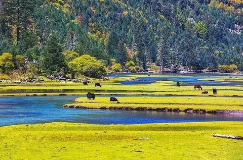 10.23 ~ 10.25【金秋丨莲花湖＋鱼子西】观贡嘎群山，看川西醉美日落，遗落人间的仙境，不一样的原始之美