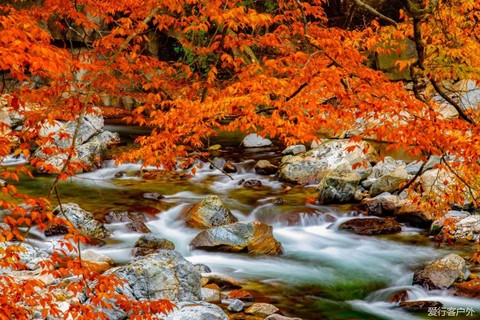 10.28～10.30  摄影师带队【光雾山】走进中国红叶之乡，览亚洲最长红地毯，惊艳整个秋！