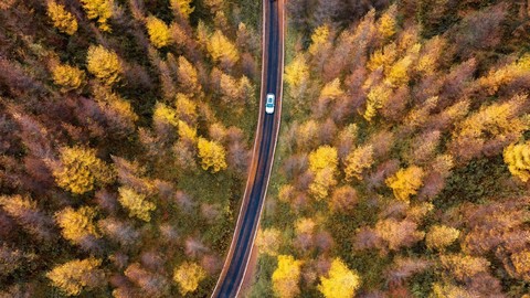 10.24～ 10.25 / 10.31～11.1【金秋彩林丨李家林场】层林尽染，追寻秋的足迹！牛头村柿子黄满天！