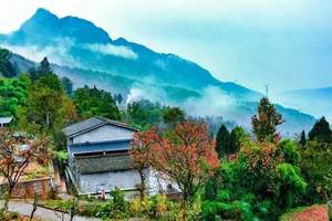 10.24～ 10.25 / 10.31～11.1【金秋彩林丨李家林场】层林尽染，追寻秋的足迹！牛头村柿子黄满天！