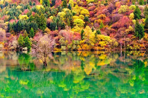 10.24～10.25 / 10.31～11.1【金秋丨黑水奶子沟】走进八十里画廊，观秋意盎然的彩色世界 ！！