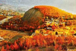 10.31～11.1【金秋彩林丨金川红叶】层林尽染娇艳似火，满山红叶浸染最美田园