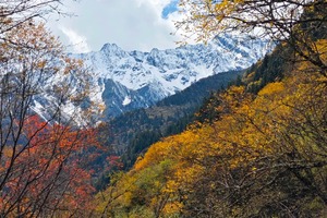 已满员！ 10.17  第二车 ！！徒步游【彩林季 | 阿尔沟】藏在深山的油画！阿尔沟彩林已上线！赴一场秋日山野之约
