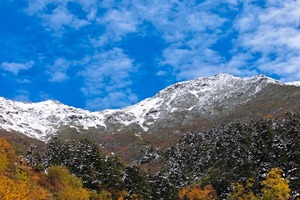 已满员！ 10.17  第二车 ！！徒步游【彩林季 | 阿尔沟】藏在深山的油画！阿尔沟彩林已上线！赴一场秋日山野之约