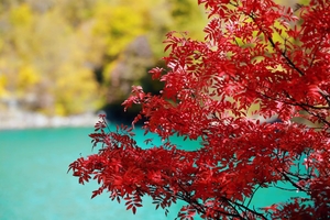 10.31-11.1  【金秋｜松坪沟】人间小九寨，三沟九海十四景，邂逅初秋水韵松坪沟