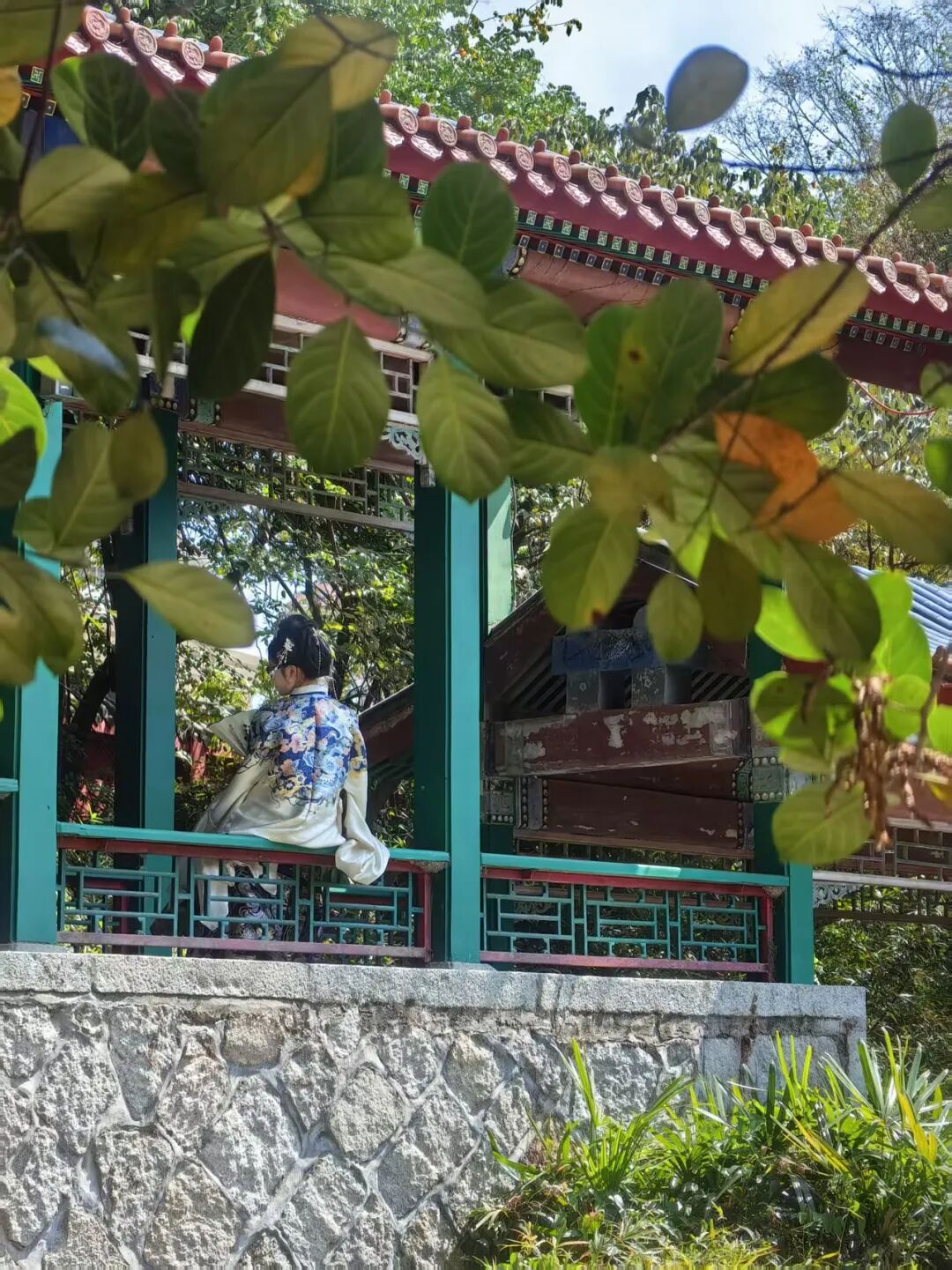图片