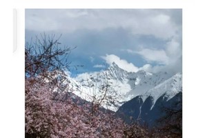 （全新路线）藏东环线/林芝桃花/墨脱/萨普神山/比如骷髅墙/来古冰川